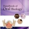 HANDBOOK OF ORAL BIOLOGY UPMED