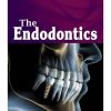 THE ENDODONTICS UPMED
