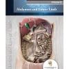 THIEME ANATOMY VOLUME 2 ABDOMEN AND LOWER LIMB UPMED