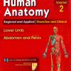 BD Chaurasia's Human Anatomy Volume 2: 8th Edition