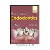 Vimal Endodontics CB 682